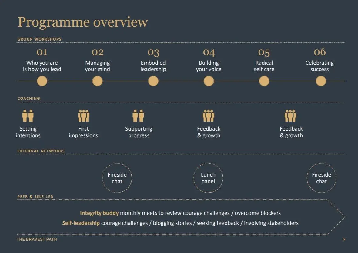 Programme overview: group workshops, coaching, external networks, peer and self-led activities, mapped across six modules.